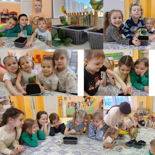 "Огород на подоконнике" "Огород на подоконнике".